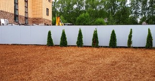 Отсыпка грунта Полевской, цена от 204 руб.